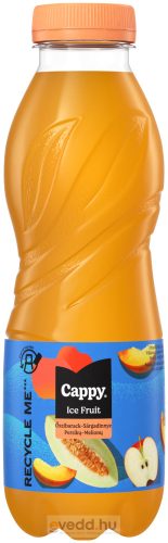 Cappy Ice Fruit Vegyes Gyümölcsital 0,5L Őszi-Dinnye (DRS)*