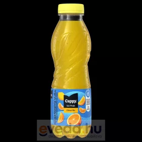 Cappy Ice Fruit 0,5L Citrus Mix (DRS)*
