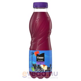   Cappy Ice Fruit Vegyes Gyümölcsital 0,5L Bogyós Gyümölcsmix (DRS)*