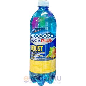Theodora Calcia + Boost 0,7L Mandarin-Lime-Gyömbér (DRS)*