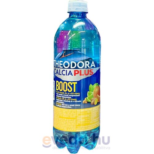 Theodora Calcia + Boost 0,7L Mandarin-Lime-Gyömbér (DRS)*