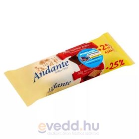 Andante 100Gr Féligmártott Étcsokis Keksz